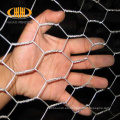 COOP COOP COOP CLICE HEXAGONAL PARA PLAYING